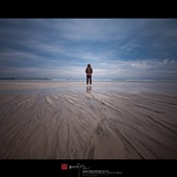 dailyPhoto40