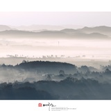 dailyPhoto2