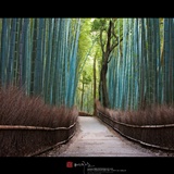 dailyPhoto35