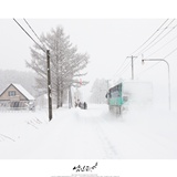 dailyPhoto6
