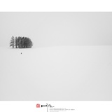 dailyPhoto13