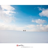 dailyPhoto40