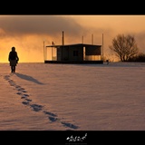 dailyPhoto16