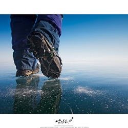 dailyPhoto6