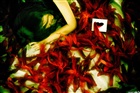 dailyPhoto5