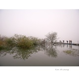 dailyPhoto8