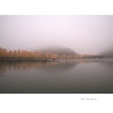 dailyPhoto31