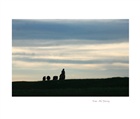 dailyPhoto6