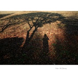 dailyPhoto20