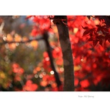 dailyPhoto25