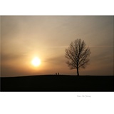 dailyPhoto34