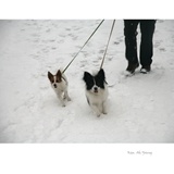 dailyPhoto13