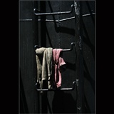 dailyPhoto2
