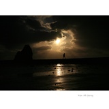 dailyPhoto5