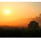 dailyPhoto6
