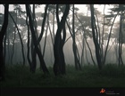 dailyPhoto8