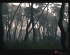 dailyPhoto36