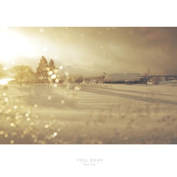 dailyPhoto21