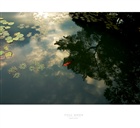 dailyPhoto26