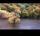 dailyPhoto35