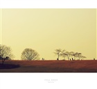 dailyPhoto36