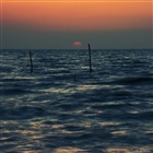dailyPhoto1
