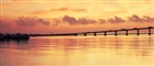 dailyPhoto9