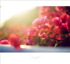 dailyPhoto19