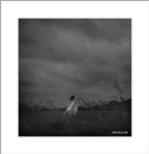 dailyPhoto4
