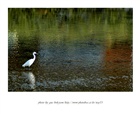 dailyPhoto14