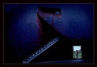 dailyPhoto35