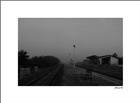 dailyPhoto13