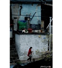 dailyPhoto6