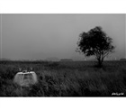 dailyPhoto39