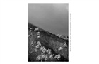 dailyPhoto9