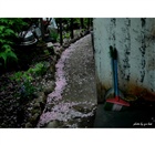 dailyPhoto6