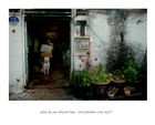 dailyPhoto11