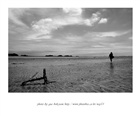 dailyPhoto23