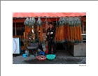 dailyPhoto9