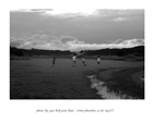 dailyPhoto7