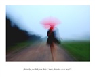 dailyPhoto2
