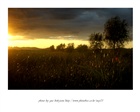 dailyPhoto36
