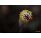 dailyPhoto12