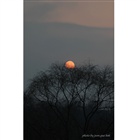 dailyPhoto13