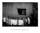 dailyPhoto1