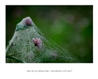 dailyPhoto19