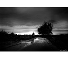 dailyPhoto10