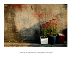 dailyPhoto28