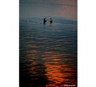 dailyPhoto14