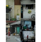 dailyPhoto37